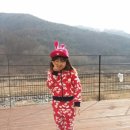 별고을 오토캠핑장 | 성주별고을 오토캠핑장 후기입니다