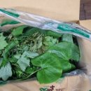 순길목장 이미지