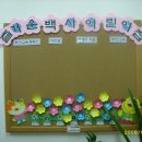 백사어린이집 Daum카페
