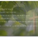 신천지 성도의 기도 / 신천기41년07월 09일-1 이미지