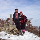 고제면 봉계리 이미지