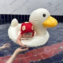 가평262키즈풀빌라 | 7개월 아기랑 가평 262 키즈풀빌라 1박2일