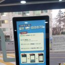 고빙고