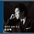 몇 미터 앞에 두고./.난 바람 넌 눈물./.Moonlight Flower 이미지