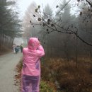 미랑목장 이미지