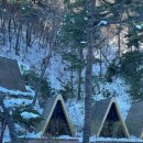 담양 리사 숲속마을 이미지