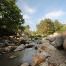 대천천1 이미지