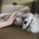 히트 메이커스 이미지