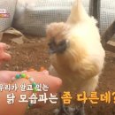 예주농장 이미지