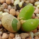 자연모두 이미지