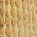 충주공설시장(충의동) 이미지