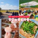 예뜰도서관 | 김포 한강노을빛마을 농장체험 어린이체험 아이와 가볼만한곳