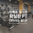 위아더휘트니스 이미지