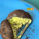 (유)신해피투어 | 평택 고덕 두쫀쿠 사냥 | 어바웃유 레터링케이크 두쫀볼 내돈내산 솔직후기