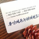 용인대 온누리 태권도 이미지