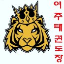 여주종합태권도장 이미지