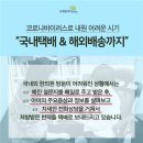 브레인한의원 이미지