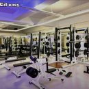 머슬팩토리 easy 이미지