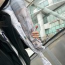 튜울립 꽃 주머니 만들기 | 꽃시장에서 꽃 사고 셀프 꽃다발 만들기