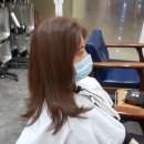 홍헤어모드