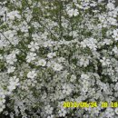 선산대로-10 이미지