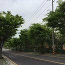 명봉거남로 이미지