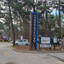 몽산포자동차야영장 | 태안 국립공원 몽산포자동차 야영장 캠핑 후기 /사이트 정보