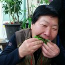 일신정육점 - 마포구 | 일신정육점