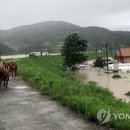 곡성-248 이미지