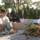 우아한새참