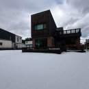 비자노아 이미지