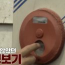 씨랜드 이미지