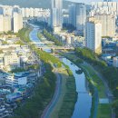 안락시장 이미지