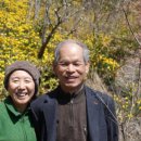 김남순농장 이미지