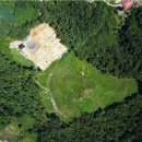 자연알로(서천) 이미지