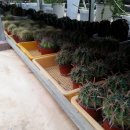 농업기술센터(농업전시관) 이미지