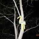 백수논산보건진료소 이미지