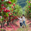 월출농장 이미지