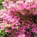 성문고등학교 이미지