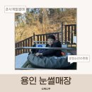 청소년수련원 | 용인 눈썰매장 추천｜청소년수련원 사계절 썰매장 후기·요금 정리