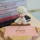 딸기펫살롱 이미지