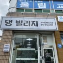 댕빌리지