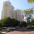 행정서로 이미지