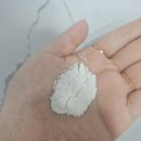 본코리아 엔젤 파우더 탄산효소세안제 사용 후기🤍