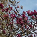 명문요양병원 이미지