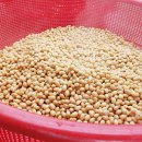 뜰안에 황토 이미지