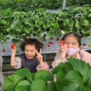 태권농장 이미지