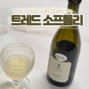 논알콜 샴페인 트레드 소프틀리 – 임산부도 마실 수 있는 드라이 스파클링 후기