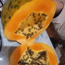 김광남농장 이미지