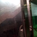 코아 사우나 이미지